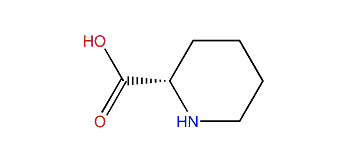 (S)-Piperidine-2-carboxylic acid